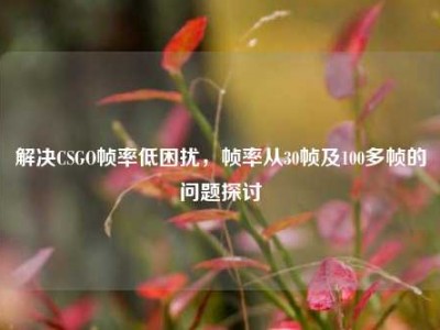 解决CSGO帧率低困扰，帧率从30帧及100多帧的问题探讨
