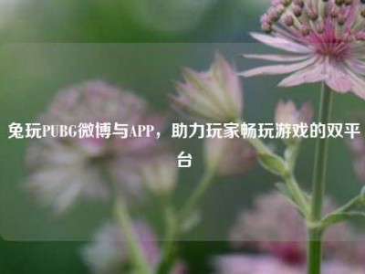 兔玩PUBG微博与APP，助力玩家畅玩游戏的双平台