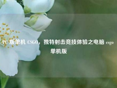 PC 版单机 CSGO，独特射击竞技体验之电脑 csgo 单机版
