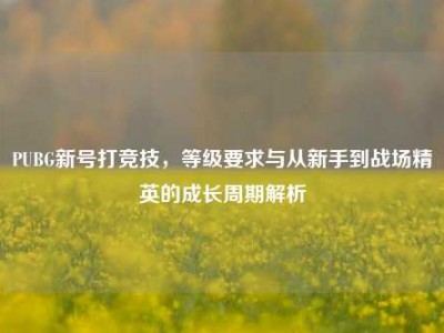 PUBG新号打竞技，等级要求与从新手到战场精英的成长周期解析