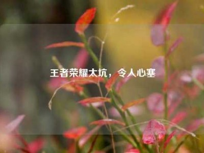 王者荣耀太坑，令人心塞
