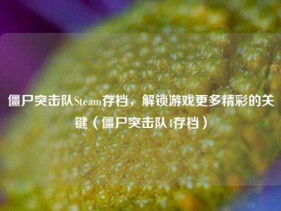僵尸突击队Steam存档，解锁游戏更多精彩的关键（僵尸突击队4存档）