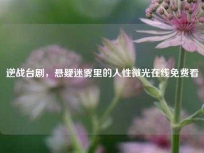 逆战台剧，悬疑迷雾里的人性微光在线免费看
