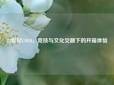 21世纪CSGO，竞技与文化交融下的开箱体验