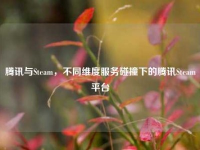 腾讯与Steam，不同维度服务碰撞下的腾讯Steam平台