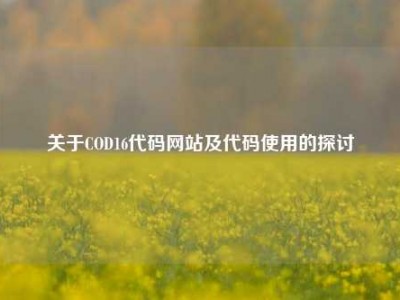 关于COD16代码网站及代码使用的探讨