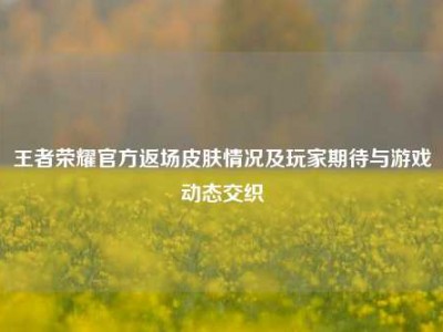 王者荣耀官方返场皮肤情况及玩家期待与游戏动态交织