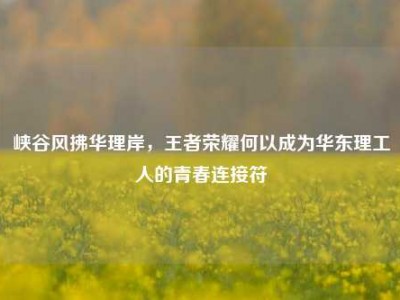 峡谷风拂华理岸，王者荣耀何以成为华东理工人的青春连接符