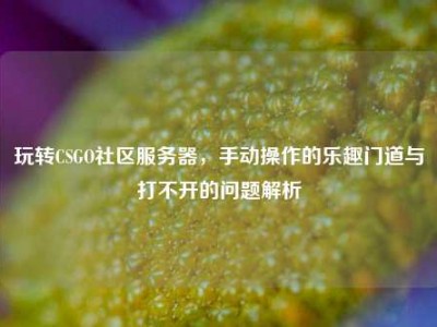 玩转CSGO社区服务器，手动操作的乐趣门道与打不开的问题解析