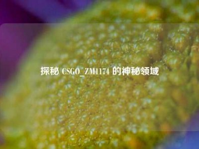 探秘 CSGO_ZM1174 的神秘领域