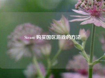 Steam 购买国区游戏的方法