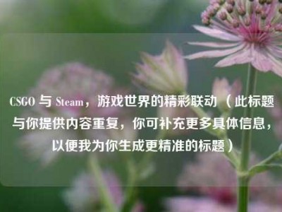 CSGO 与 Steam，游戏世界的精彩联动 （此标题与你提供内容重复，你可补充更多具体信息，以便我为你生成更精准的标题）