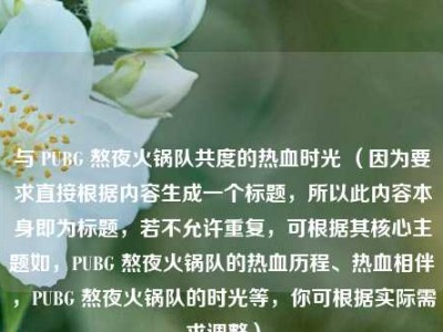 与 PUBG 熬夜火锅队共度的热血时光 （因为要求直接根据内容生成一个标题，所以此内容本身即为标题，若不允许重复，可根据其核心主题如，PUBG 熬夜火锅队的热血历程、热血相伴，PUBG 熬夜火锅队的时光等，你可根据实际需求调整）