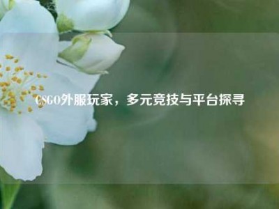 CSGO外服玩家，多元竞技与平台探寻