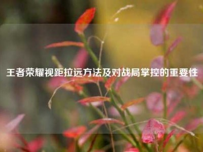 王者荣耀视距拉远方法及对战局掌控的重要性