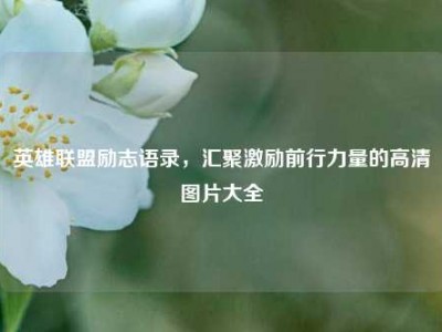 英雄联盟励志语录，汇聚激励前行力量的高清图片大全