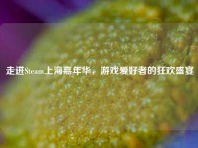 走进Steam上海嘉年华，游戏爱好者的狂欢盛宴