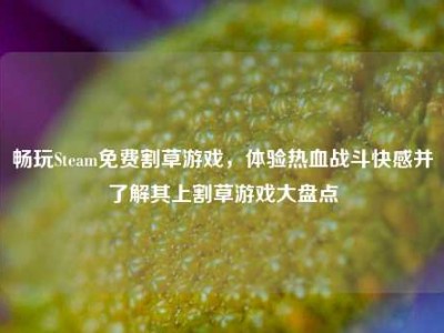 畅玩Steam免费割草游戏，体验热血战斗快感并了解其上割草游戏大盘点