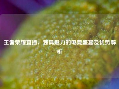 王者荣耀直播，独具魅力的电竞盛宴及优势解析