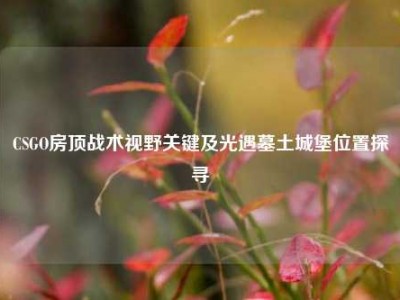 CSGO房顶战术视野关键及光遇墓土城堡位置探寻