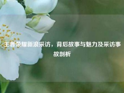 王者荣耀新浪采访，背后故事与魅力及采访事故剖析