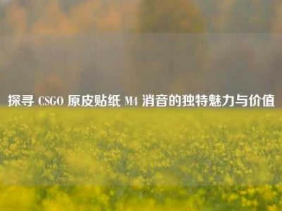 探寻 CSGO 原皮贴纸 M4 消音的独特魅力与价值