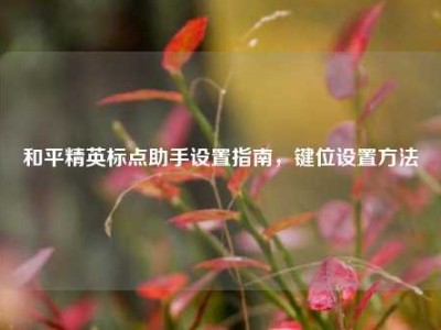 和平精英标点助手设置指南，键位设置方法