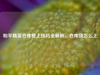 和平精英仓库登上技巧全解析，仓库顶怎么上