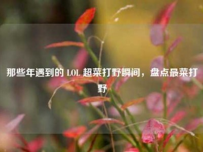 那些年遇到的 LOL 超菜打野瞬间，盘点最菜打野