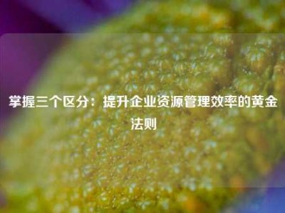 掌握三个区分：提升企业资源管理效率的黄金法则