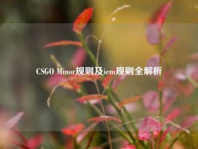 CSGO Minor规则及iem规则全解析