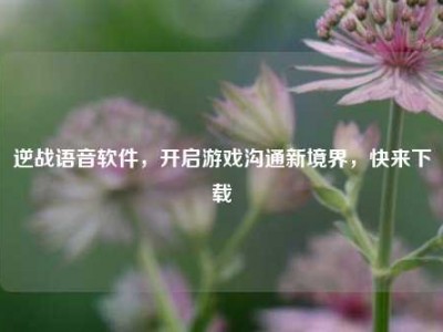 逆战语音软件，开启游戏沟通新境界，快来下载