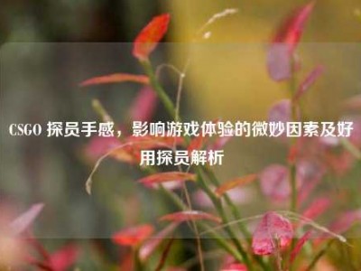 CSGO 探员手感，影响游戏体验的微妙因素及好用探员解析