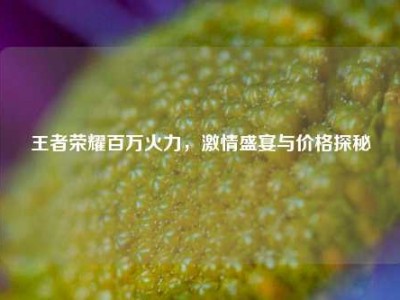王者荣耀百万火力，激情盛宴与价格探秘