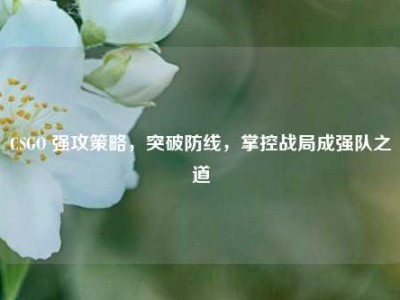 CSGO 强攻策略，突破防线，掌控战局成强队之道