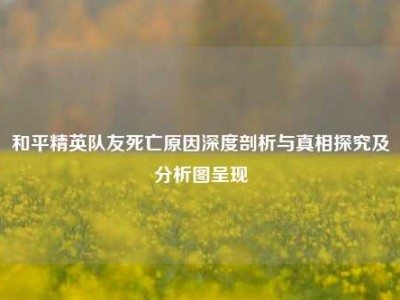 和平精英队友死亡原因深度剖析与真相探究及分析图呈现
