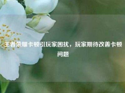 王者荣耀卡顿引玩家困扰，玩家期待改善卡顿问题