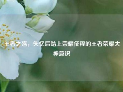 王者之殇，失忆后踏上荣耀征程的王者荣耀大神意识