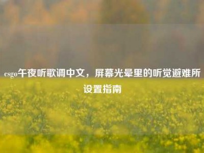 csgo午夜听歌调中文，屏幕光晕里的听觉避难所设置指南