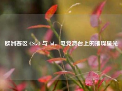 欧洲赛区 CSGO 与 lol，电竞舞台上的璀璨星光