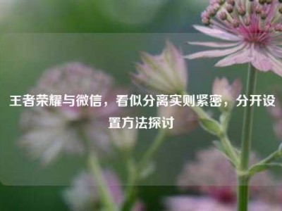 王者荣耀与微信，看似分离实则紧密，分开设置方法探讨