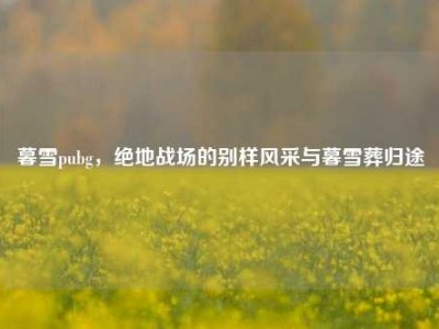 暮雪pubg，绝地战场的别样风采与暮雪葬归途