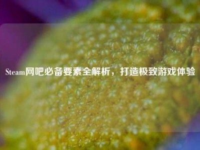 Steam网吧必备要素全解析，打造极致游戏体验