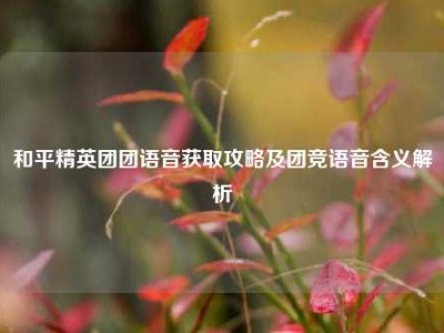 和平精英团团语音获取攻略及团竞语音含义解析