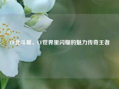 CF北斗星，CF世界里闪耀的魅力传奇王者