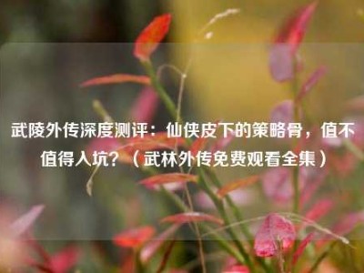 武陵外传深度测评：仙侠皮下的策略骨，值不值得入坑？（武林外传免费观看全集）