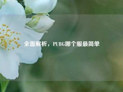 全面解析，PUBG哪个服最简单
