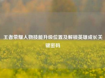 王者荣耀人物技能升级位置及解锁英雄成长关键密码