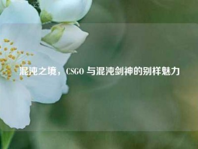 混沌之境，CSGO 与混沌剑神的别样魅力