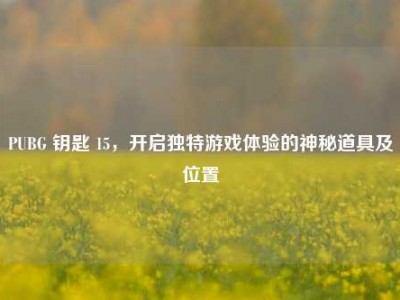 PUBG 钥匙 15，开启独特游戏体验的神秘道具及位置